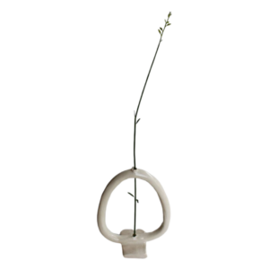 Dry flowers vase small