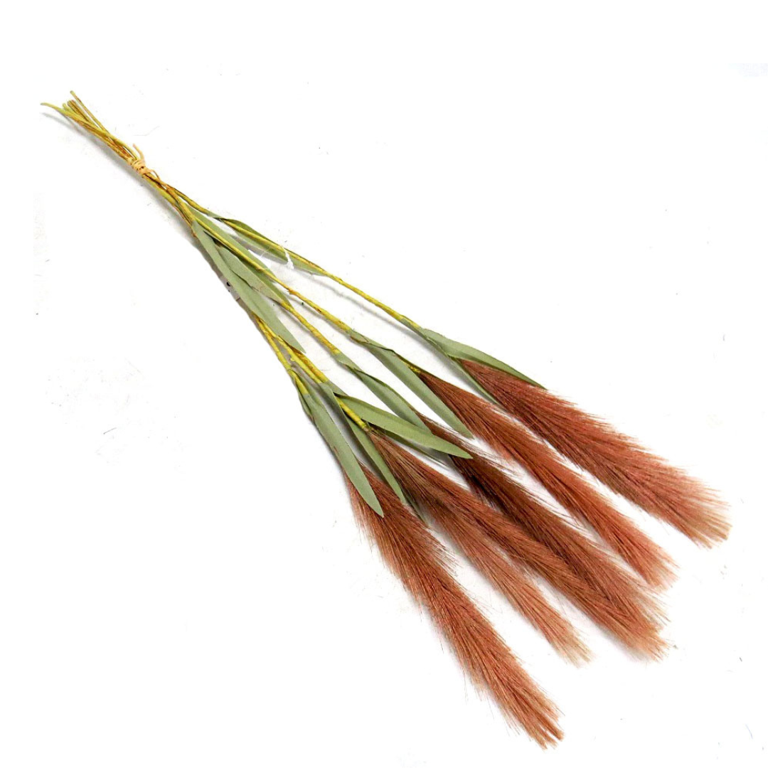 Dwarf pampas