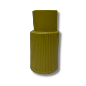 COLAB STEM ZARA