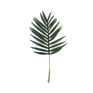Fern Dark Leaf
