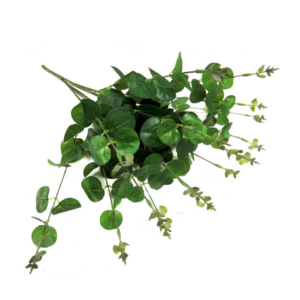 Euca Green Bunch