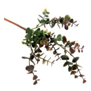 Ciderleaf Bunch