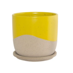 Yellow/Natural Pot and Base