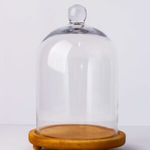 Dome with Wooden Base