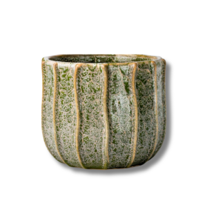 Ceramic Green Line Leaves Pot