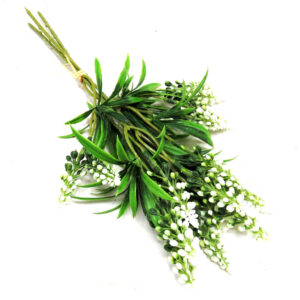 Grape hyacinth bunch