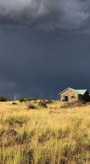 IMG_0483